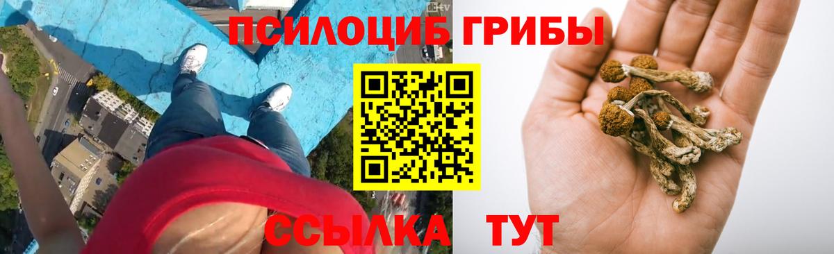 Галлюциногенные грибы прущие грибы Котельники