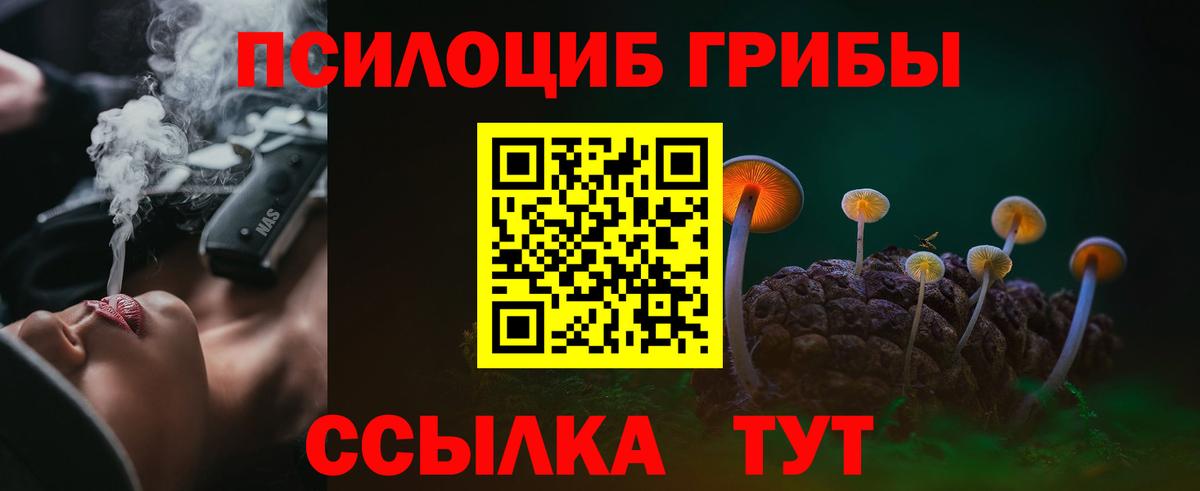 Псилоцибиновые грибы Psilocybe  Галлюциногенные грибы Cubensis  закладки  Вход с VPN  Котельники 